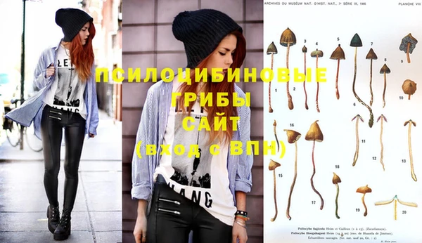 ешки Абинск