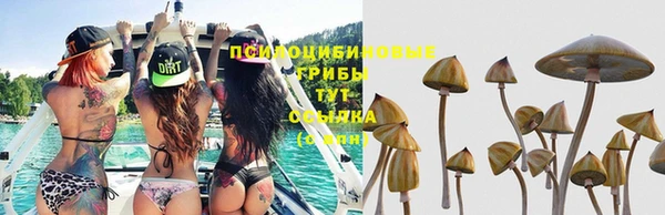 ешки Абинск
